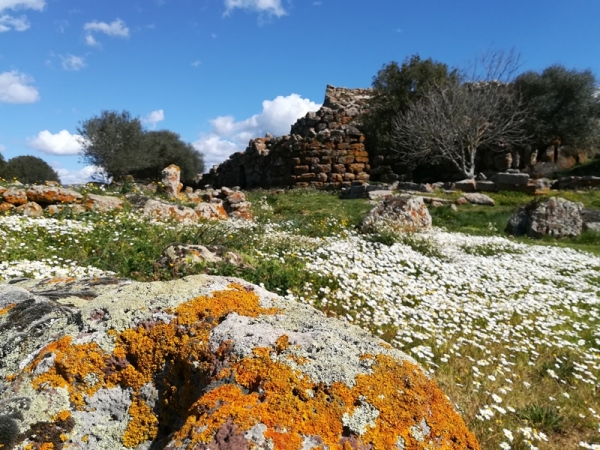 Travelling with Friends - Culture & Beaches Sardinia Private Tours